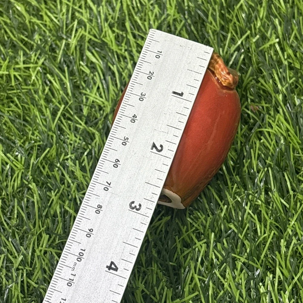 The Unbranded Brand vintage apple